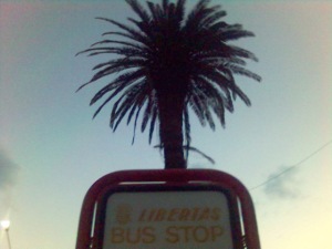 Libertas, your bus stops here.